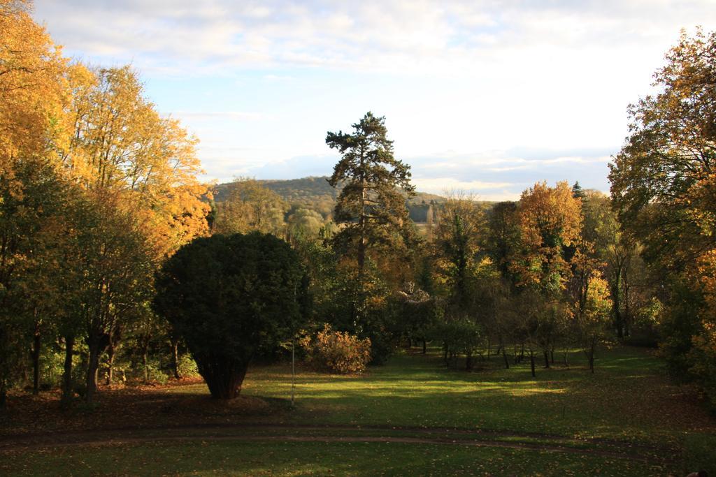 Villa Du Chatelet Choisy-au-Bac Ruang foto
